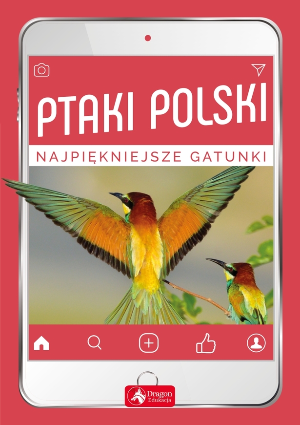 Ptaki Polski Najpiękniejsze Gatunki