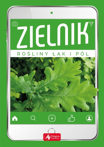 Zielnik Rośliny łąk I Pól