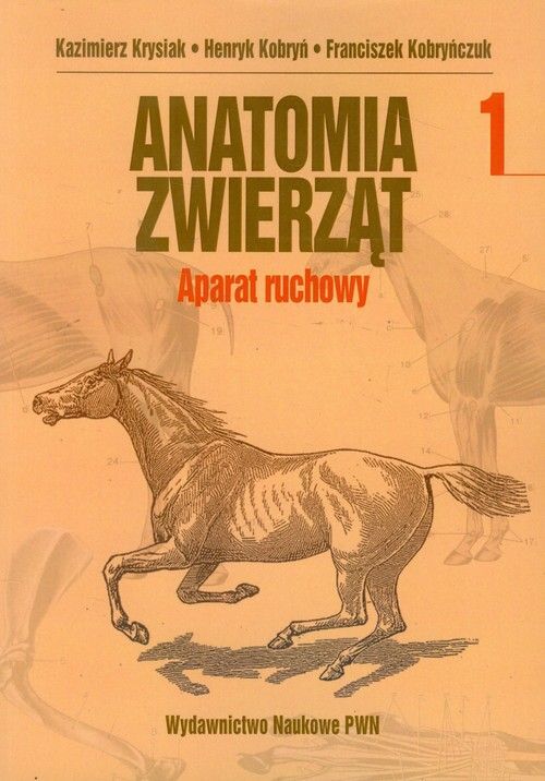 Ana Tomia Zwierząt Tom I Aparat Ruchowy