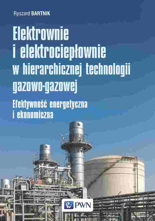 Elektrownie I Elektrociepłownie W Hierarchicznej Technologii Gazowo Gazowej. Efektywność Energetyczna I Ekonomiczna