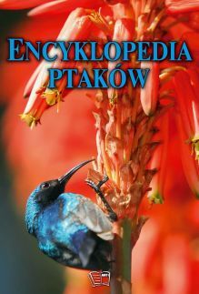 Encyklopedia Ptaków