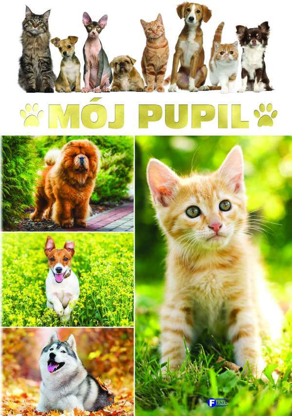 Mój Pupil