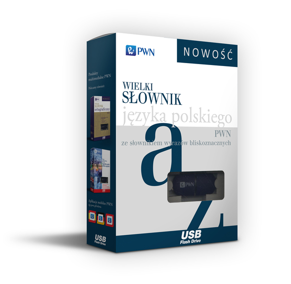 Pendrive Wielki Słownik Języka Polskiego Pwn Ze Słownikiem Wyrazów Bliskoznacznych